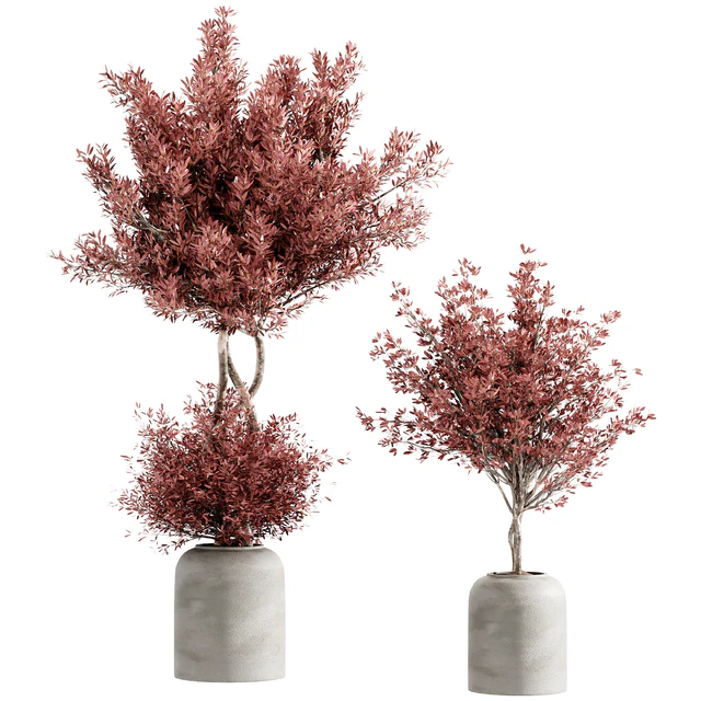 indoor plant set 21 — Скачать
