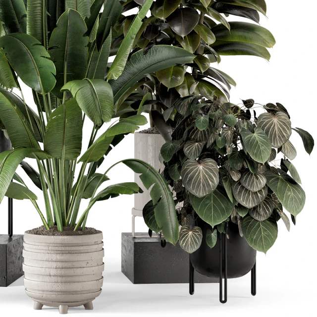 Indoor Plants in Ferm Living Bau Pot Large - Set 1208 — Скачать