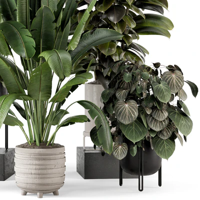 Indoor Plants in Ferm Living Bau Pot Large - Set 1208 — Вид 7
