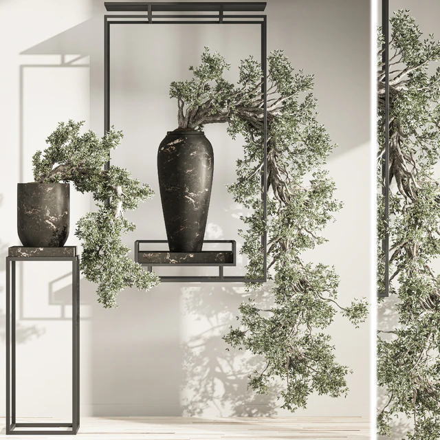 Bonsai and Indoor Plant Set 38 — Скачать