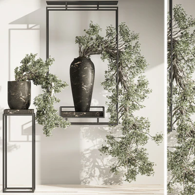 Bonsai and Indoor Plant Set 38 — Вид 7