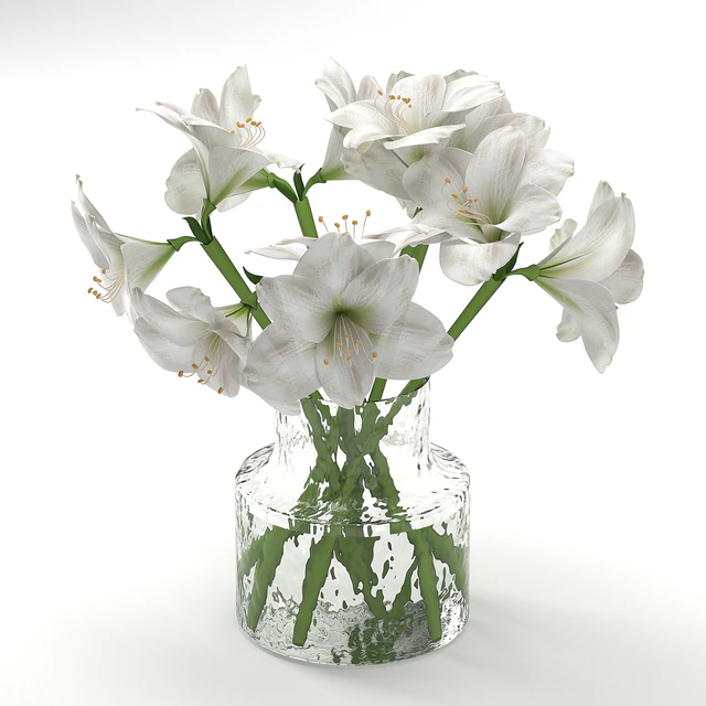 Bouquet 16 — Descargar