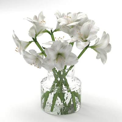 Bouquet 16 — Ver 4