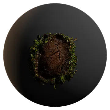 bare patch on grass 001 — Скачать