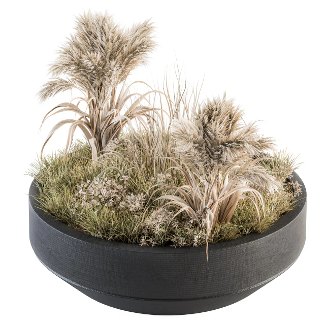Outdoor Plants tree in Concrete Pot - Set 147 — Скачать