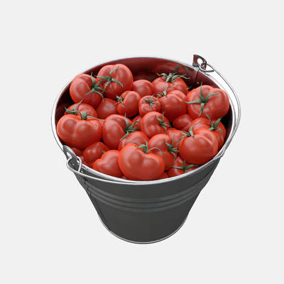 Bucket with tomatoes — Ver 3