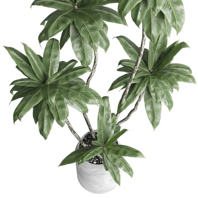 Indoor plant 460 concrete dirt vase plant fiucs tree pot — Ver 6