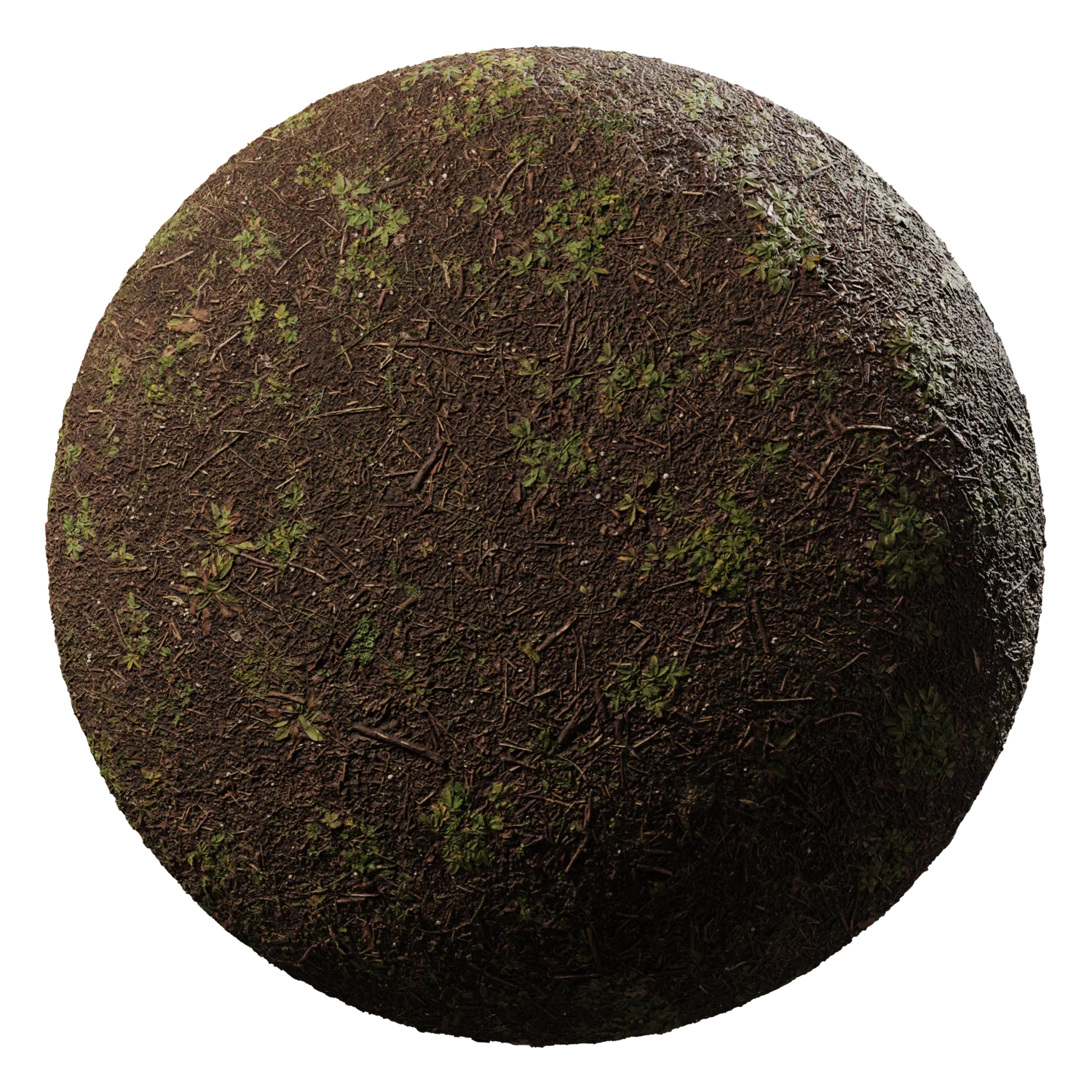 dirt forest 007 — Descargar