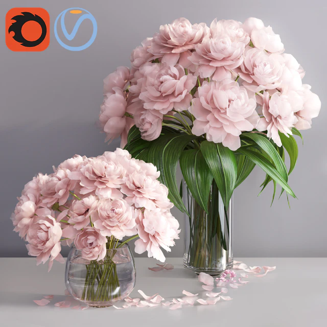 pastel pink peonies in 2 vases — Скачать
