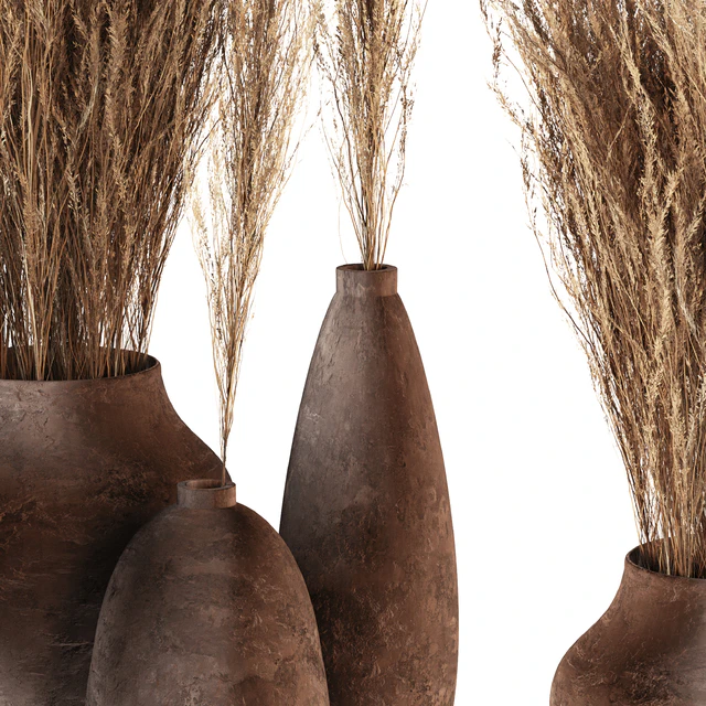 Indoor plants 01 - Pampas set in Pottery Pots — Descargar