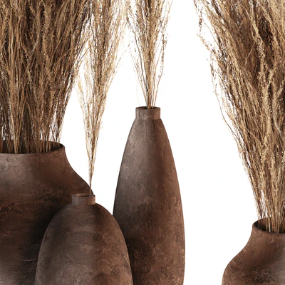 Indoor plants 01 - Pampas set in Pottery Pots — Ver 6