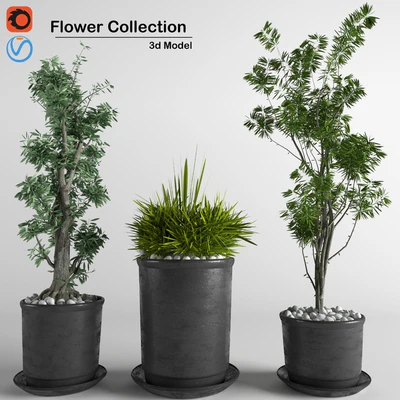 flower collection 3p — Ver 1