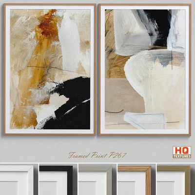 Framed Print P-267 — View 1