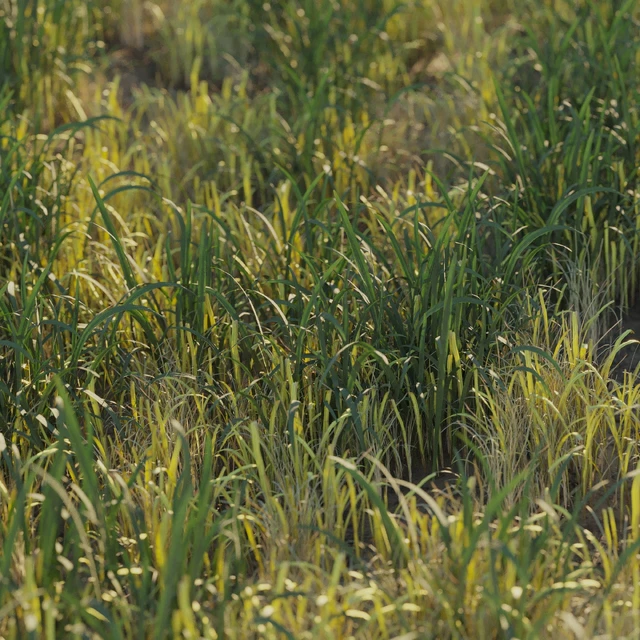 Uncut forest grass collection 03 — Descargar