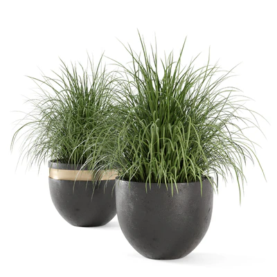 Outdoor Plants Bush  in rusty Concrete Pot - Set 186 — Вид 6