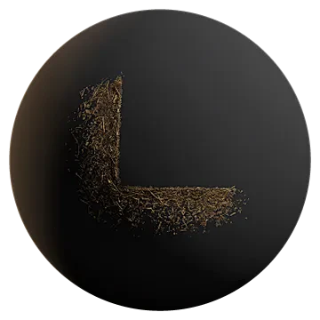 corner pine debris 001 — Descargar