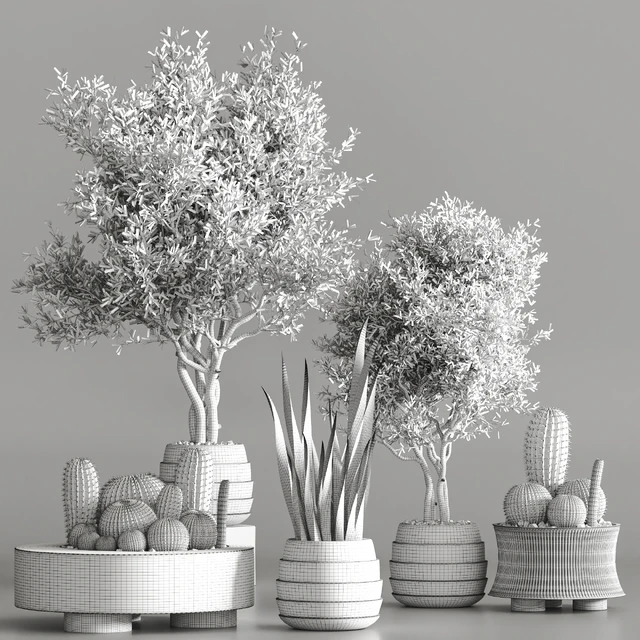 Cactus & plant vol 02 — Descargar