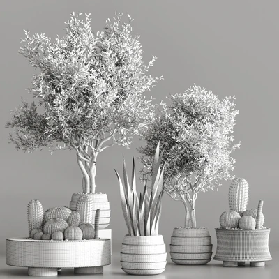 Cactus & plant vol 02 — Ver 6