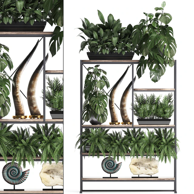 Decorative set modern wooden shelf with flowers in pots with monstera, fern, tusk, ammonite, statuette. 10 — Descargar