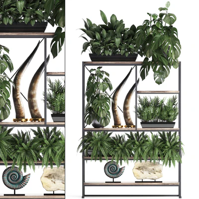 Decorative set modern wooden shelf with flowers in pots with monstera, fern, tusk, ammonite, statuette. 10 — Ver 1