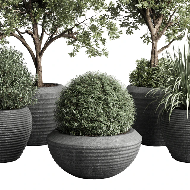 Collection indoor outdoor plant 120 plant tree grass vase dirty concrete — Descargar