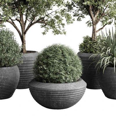Collection indoor outdoor plant 120 plant tree grass vase dirty concrete — Ver 6
