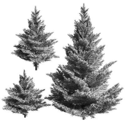 Collection of firs. 3 models — Ver 4