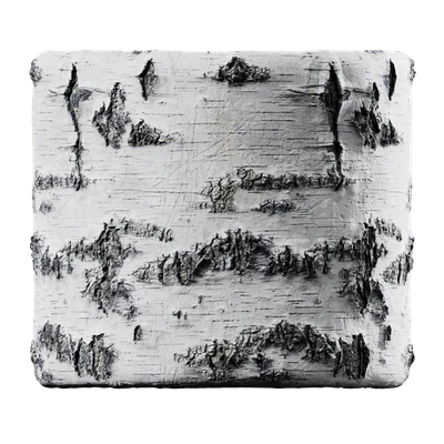 birch 002 — Скачать