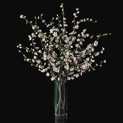 Plum blossom 03 — Вид 5