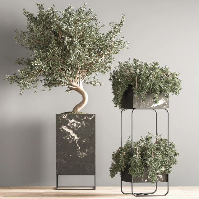 indoor plant set 39 — Descargar