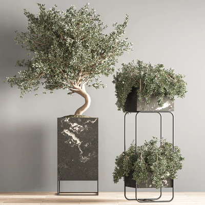 indoor plant set 39 — Ver 6