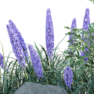 outdoor garden plants collection vol 69 — Вид 6