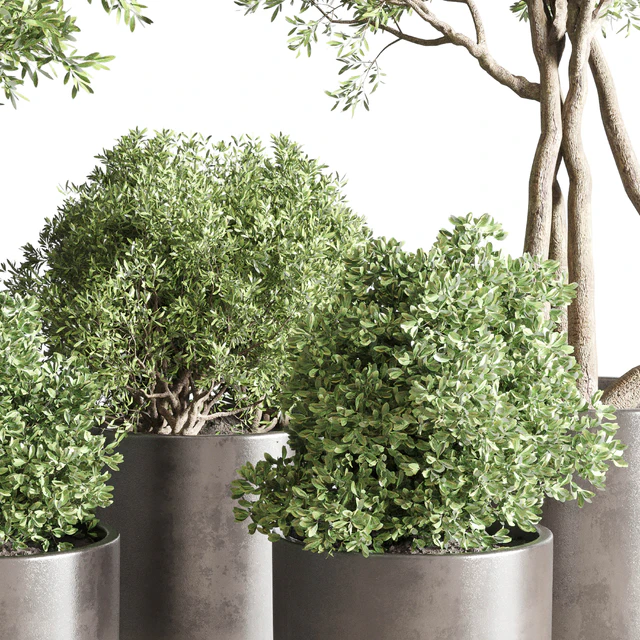 collection Indoor outdoor plant 122 pot tree plant bush dirty concrete vase pot — Descargar