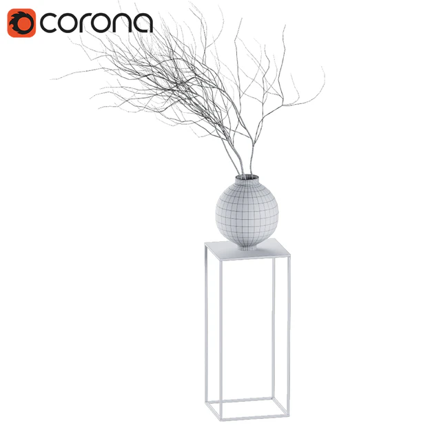 decorative dry plant — Descargar