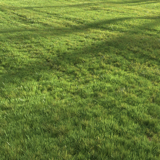 Summer grass — Скачать