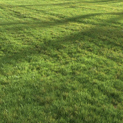 Summer grass — Вид 4