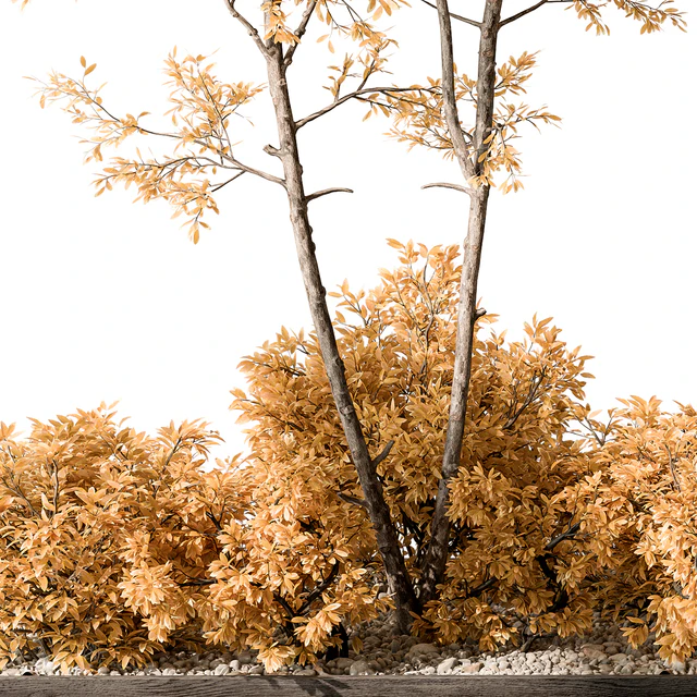 Garden Plants - Outdoor Plants 476 — Descargar