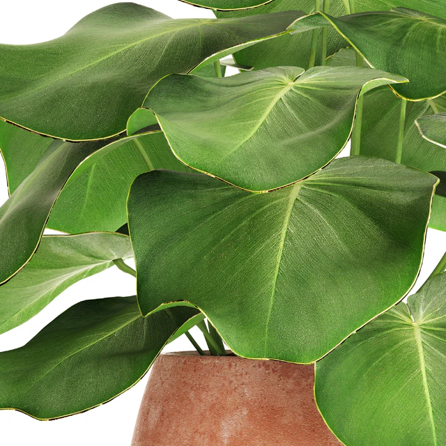 Tropical potted plant, flower, flowerpot, small plant, clinker, clay — Descargar