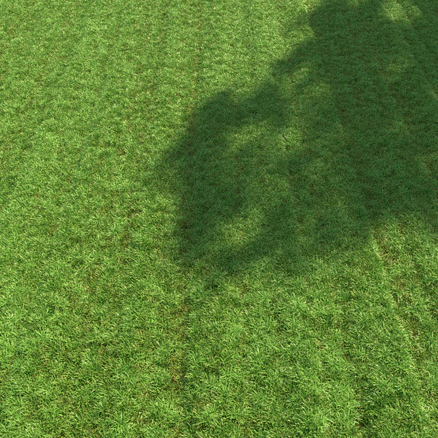 Regular grass — Descargar