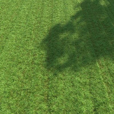 Regular grass — Ver 3