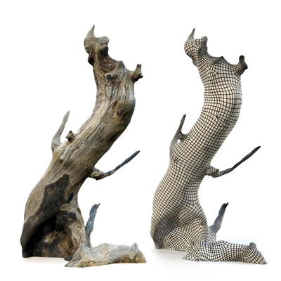 Tree stump  pack 2 — View 5