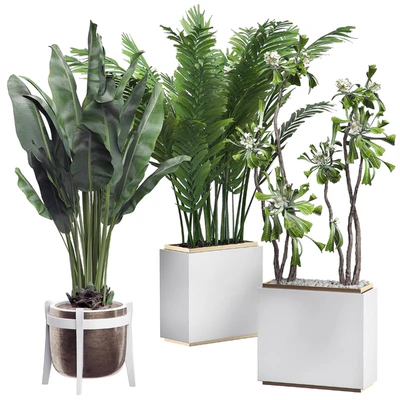 INTERIOR FLOWER PACK 14 - Zonning v. 2 — Ver 1