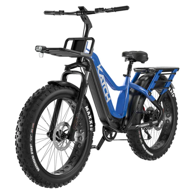 Fatbike bicycle — descargar