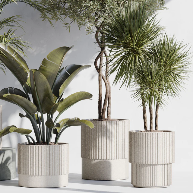 indoor plant set 69 — Descargar