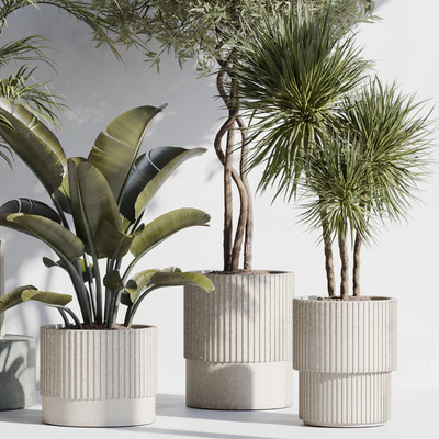 indoor plant set 69 — Ver 6
