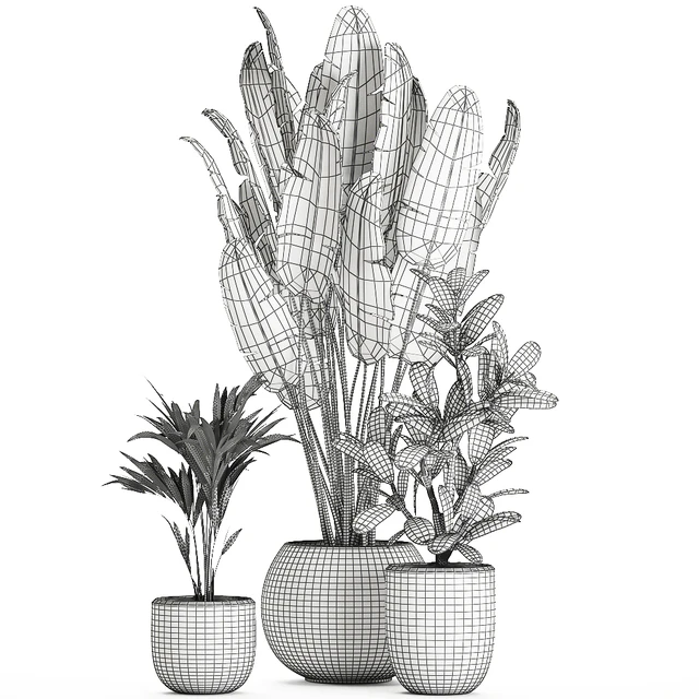 Collection of small beautiful plants in white pots with Banana palm, strelitzia. Set 660. — Descargar