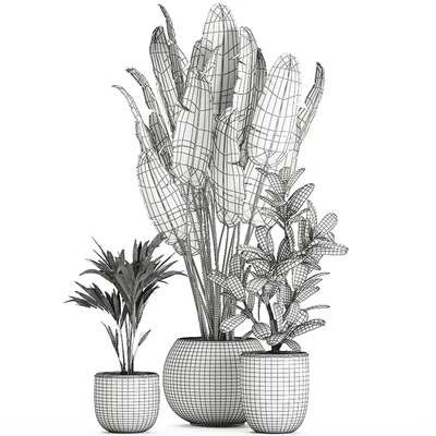Collection of small beautiful plants in white pots with Banana palm, strelitzia. Set 660. — Ver 5