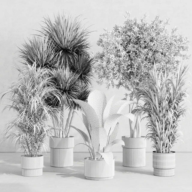 indoor plant set 414 plant ficus elastica tree palm bush concrete vase — Скачать