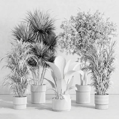indoor plant set 414 plant ficus elastica tree palm bush concrete vase — Вид 7