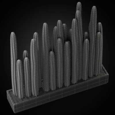 Plants collection 266 — Вид 4